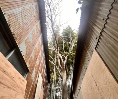 狭い場所の伐採もお任せください