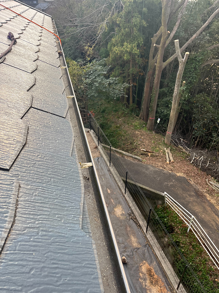 大径木の枝が家屋に越境しているため、倒木被害を考えて伐採してほしい