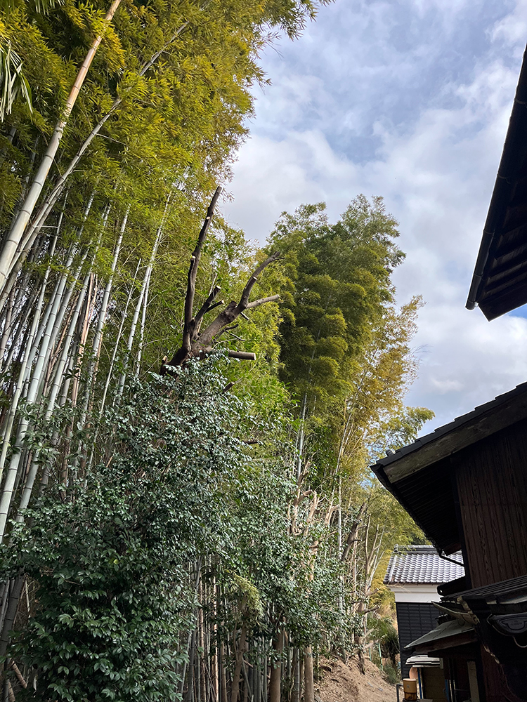 家屋に覆い被さる枝を除去してほしいが、竹林の侵食を防ぐ事も考えて切りすぎないように枝打ちをしてほしい