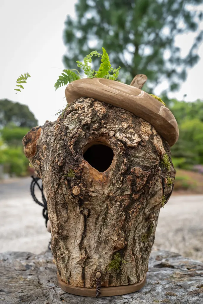 幹のウロ(空洞)を利用した小鳥やフクロウなどの人工巣洞