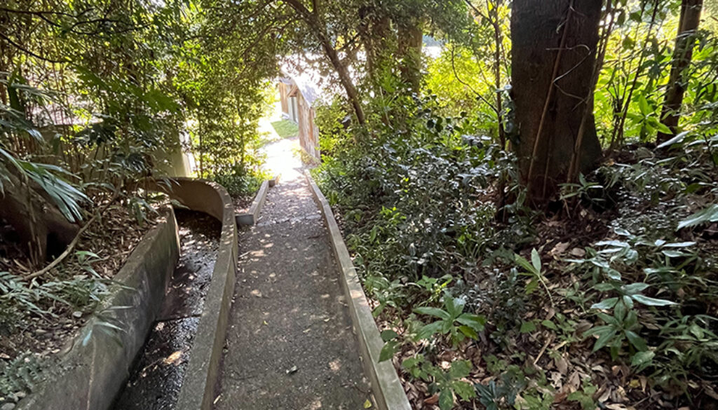 落下の危険がある枯れ枝を伐採して欲しい。