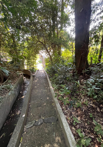 落下の危険がある枯れ枝を伐採して欲しい。