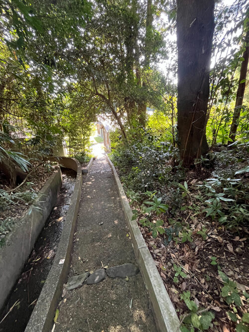 落下の危険がある枯れ枝を伐採して欲しい。