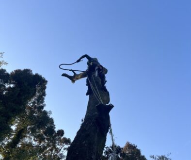 どこに倒しても隣地にはみ出してしまう