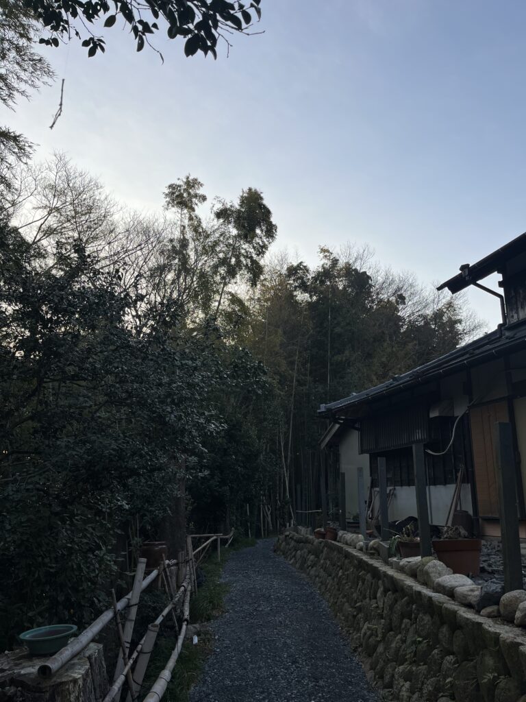 屋根の高さまで幹を切り詰めました。