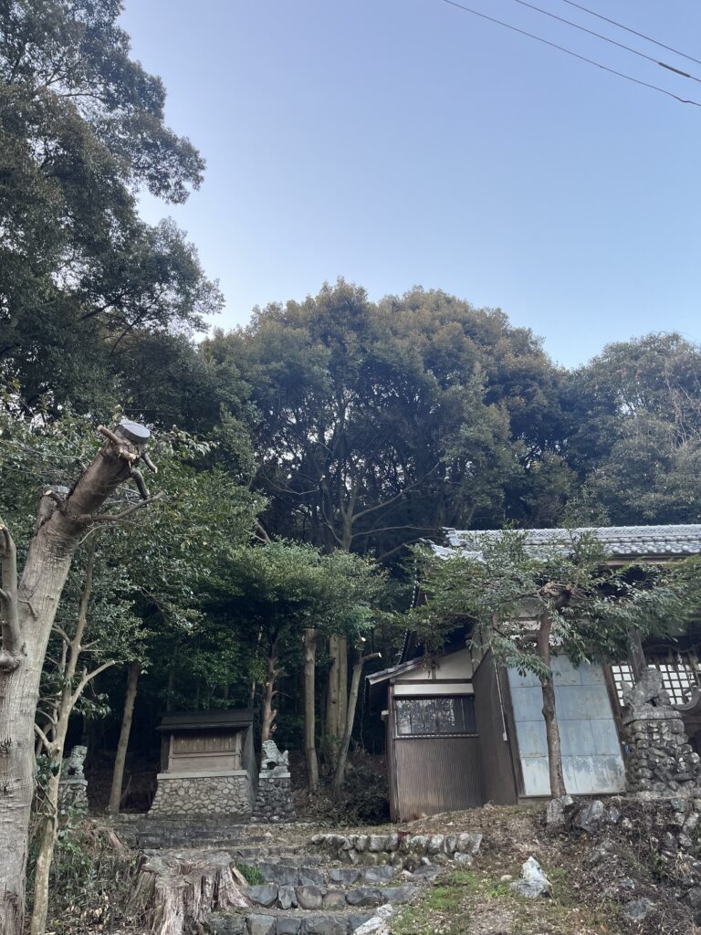 神社の本殿と拝殿に被る枝のみを除去