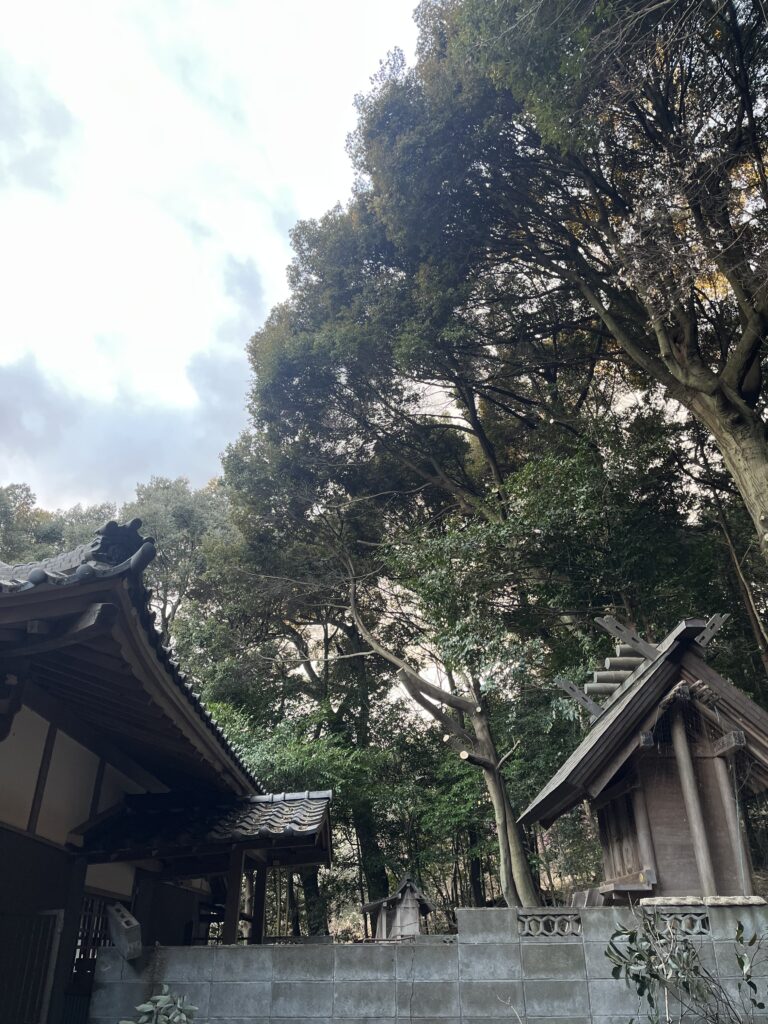 神社の本殿と拝殿に被る枝のみを除去