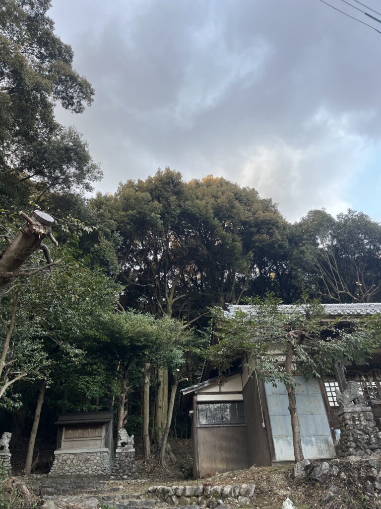 神社の本殿と拝殿に被る枝のみを除去