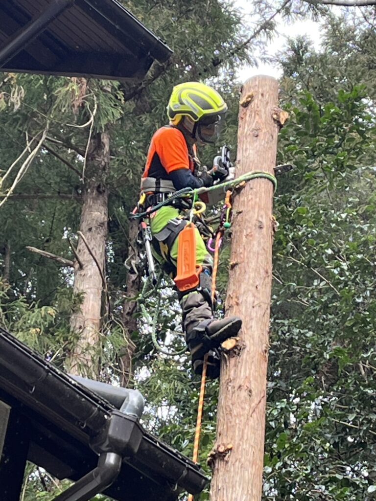 手で持てる大きさに小さく分割して切り詰め