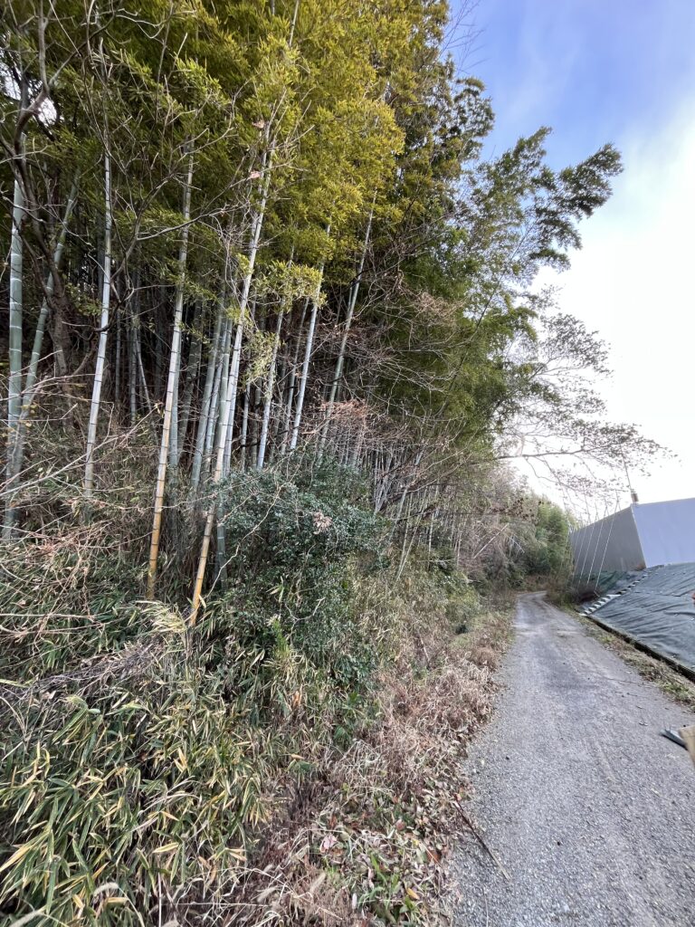 低コスト竹林整備事業