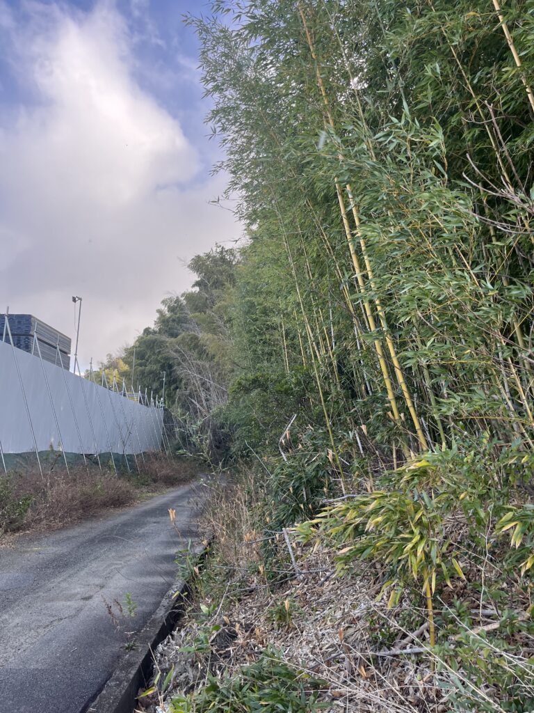 低コスト竹林整備事業