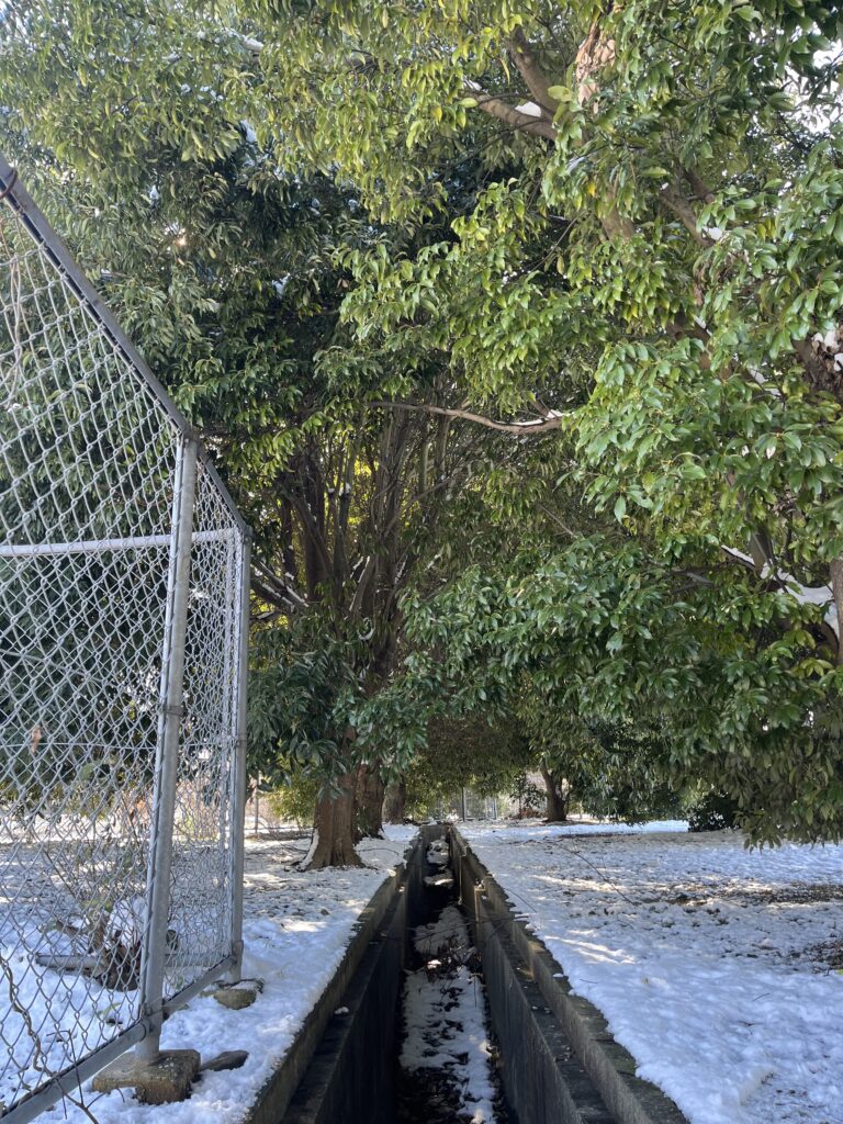 工場緑地管理業務