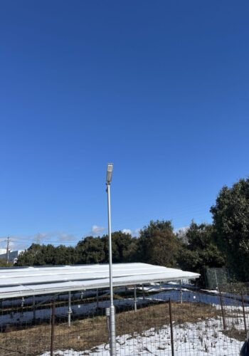 ソーラーパネル上の支障木除去