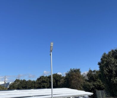 ソーラーパネル上の支障木除去