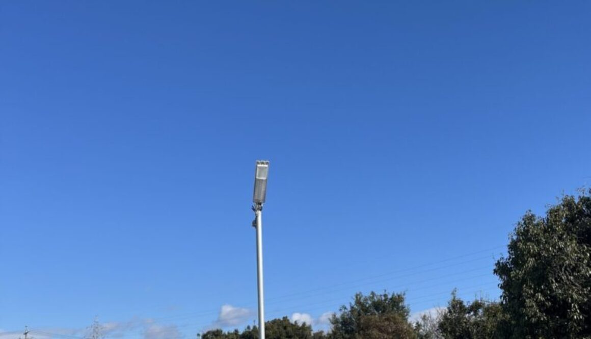 ソーラーパネル上の支障木除去