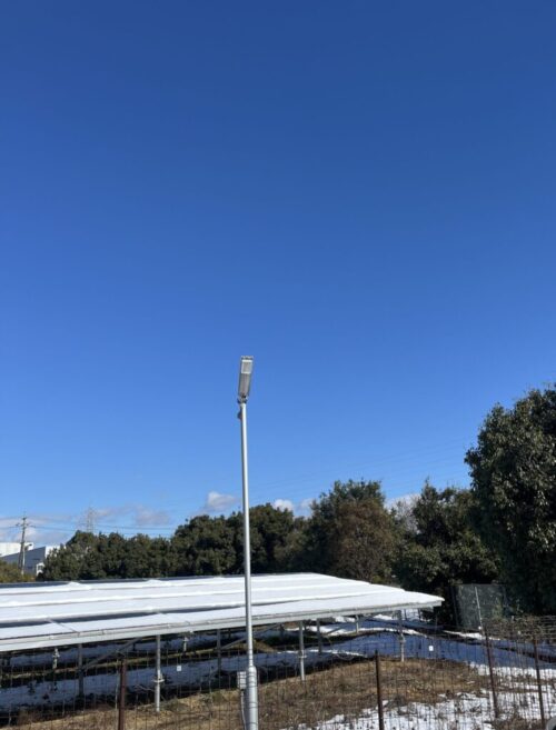 ソーラーパネル上の支障木除去