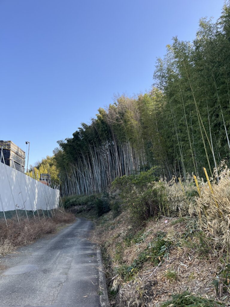 低コスト竹林整備事業