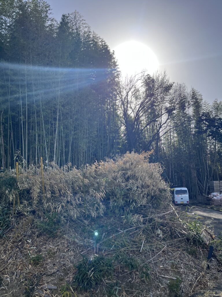 低コスト竹林整備事業