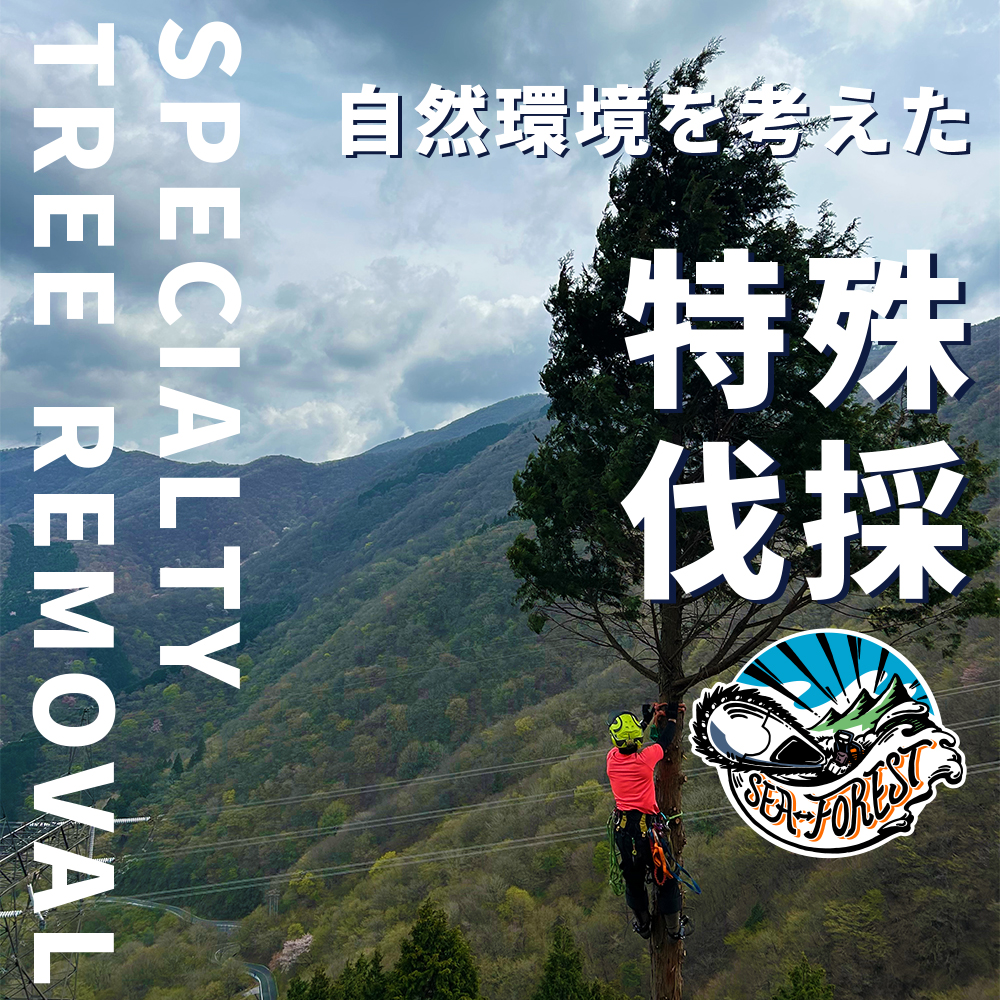 三重県特殊伐採｜SEAFOREST