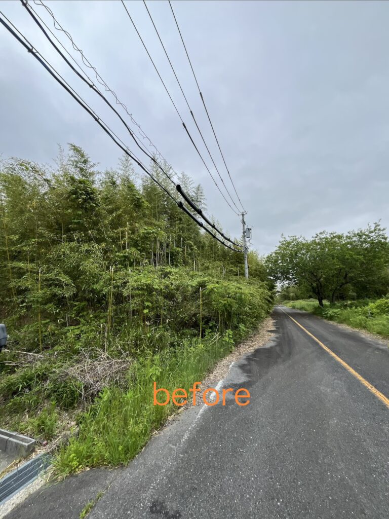 低コスト竹林整備年間管理事業