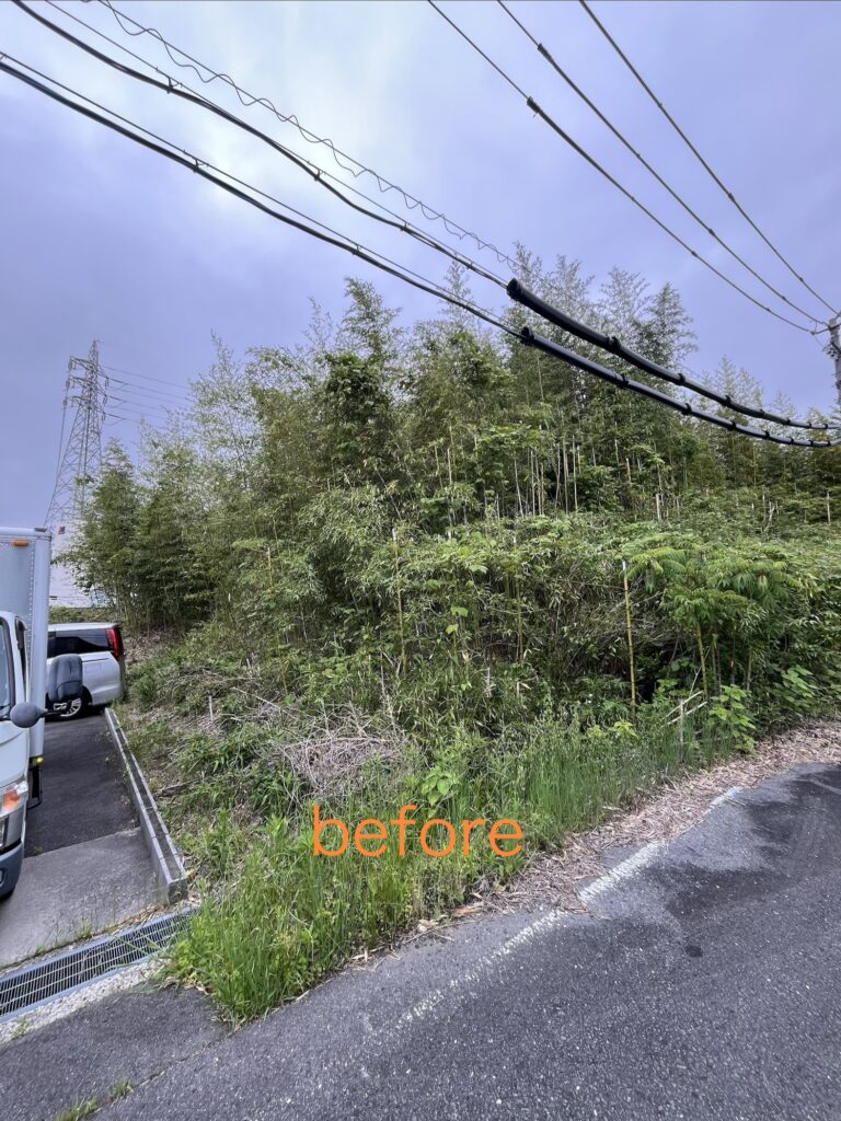 低コスト竹林整備年間管理事業