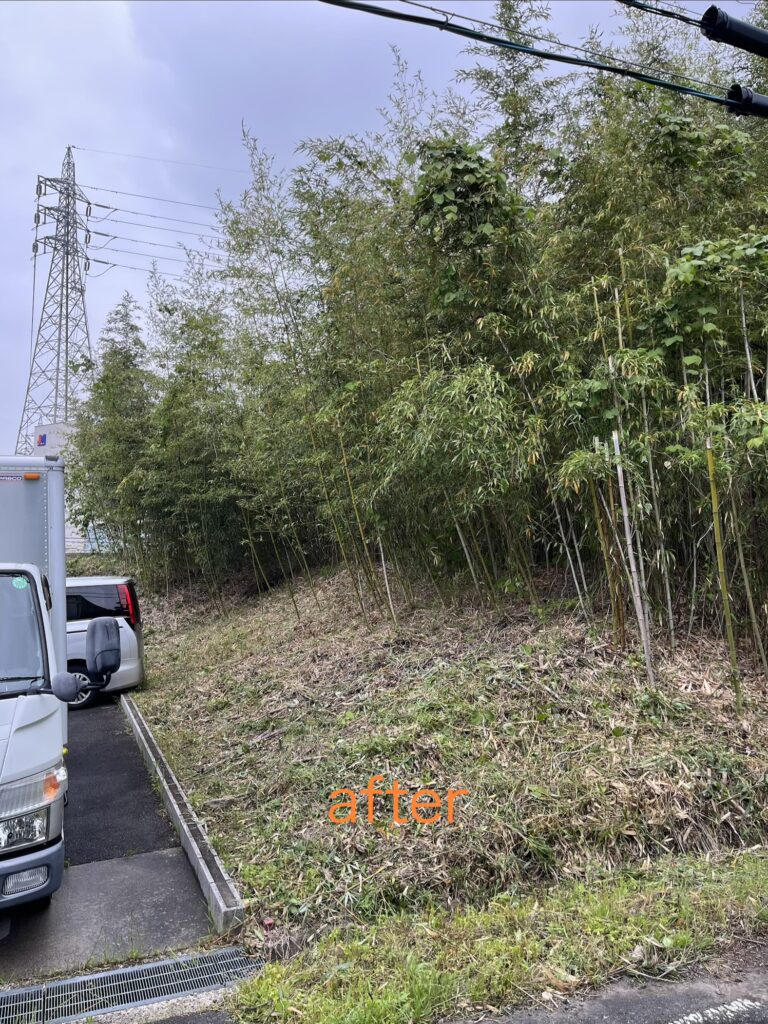 低コスト竹林整備年間管理事業