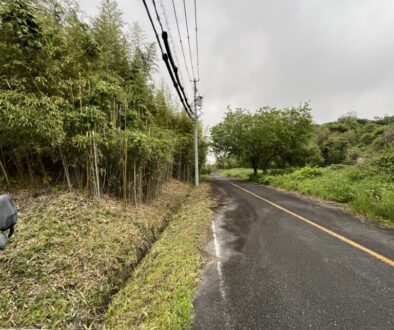 低コスト竹林整備年間管理事業