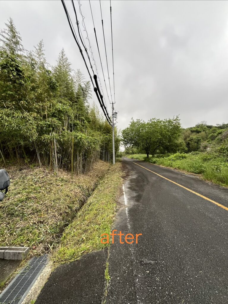 低コスト竹林整備年間管理事業