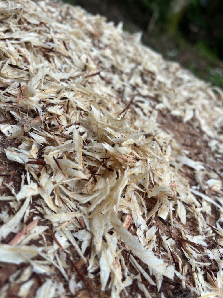 カラムーチョのような軽やかな木片