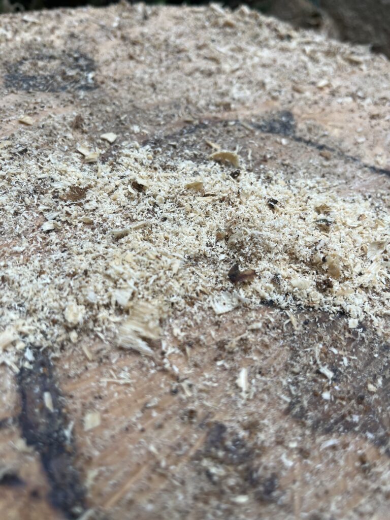埃のような細かい粉