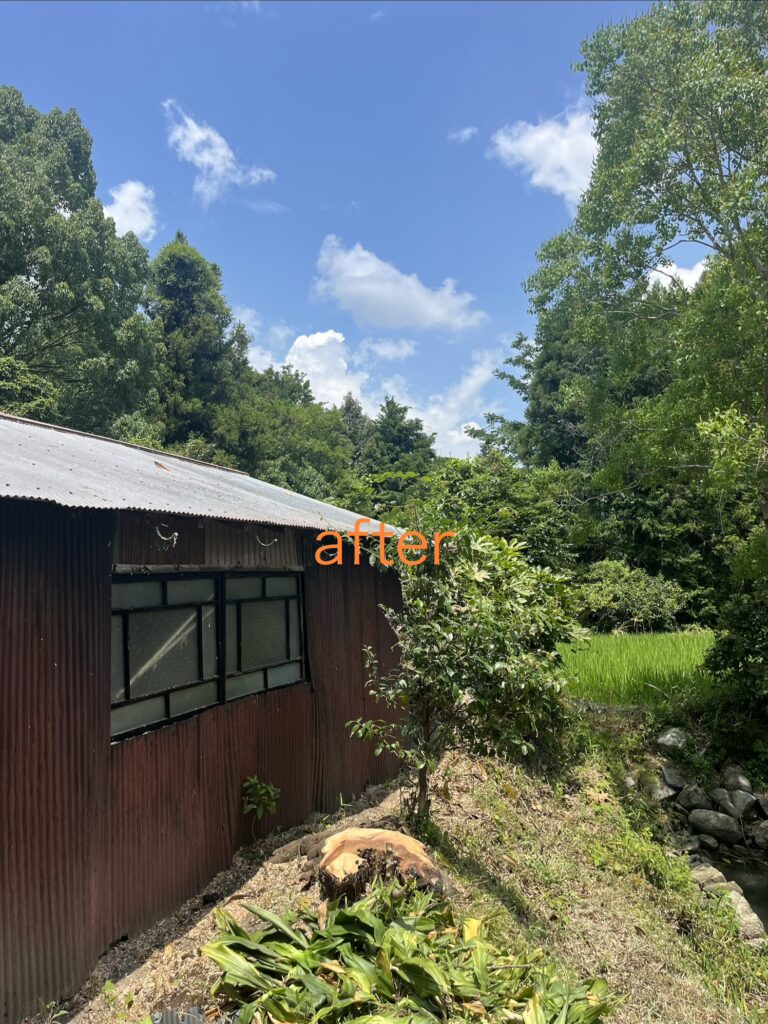 倒木の恐れafter