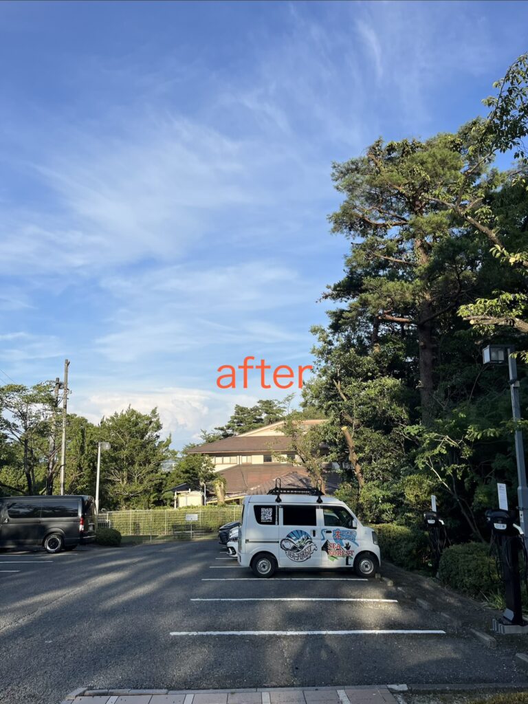 駐車場に被さってきた枝の伐採AFTER