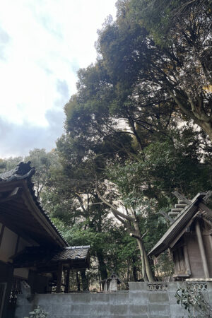 神社 神社