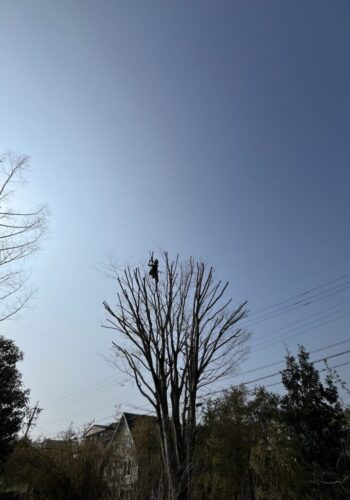 空に一番近い場所で