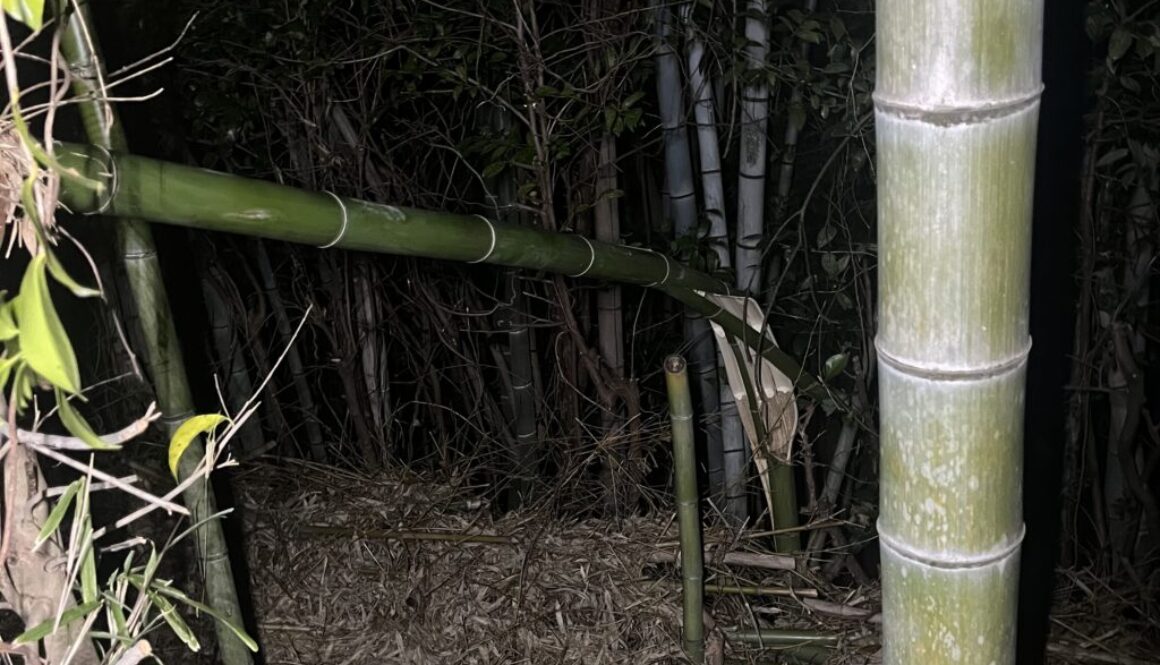 夜間緊急伐採
