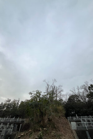 墓地 墓地