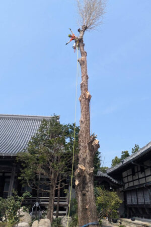 お寺 お寺