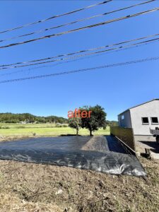 特殊伐採から草刈り、防草シートまで